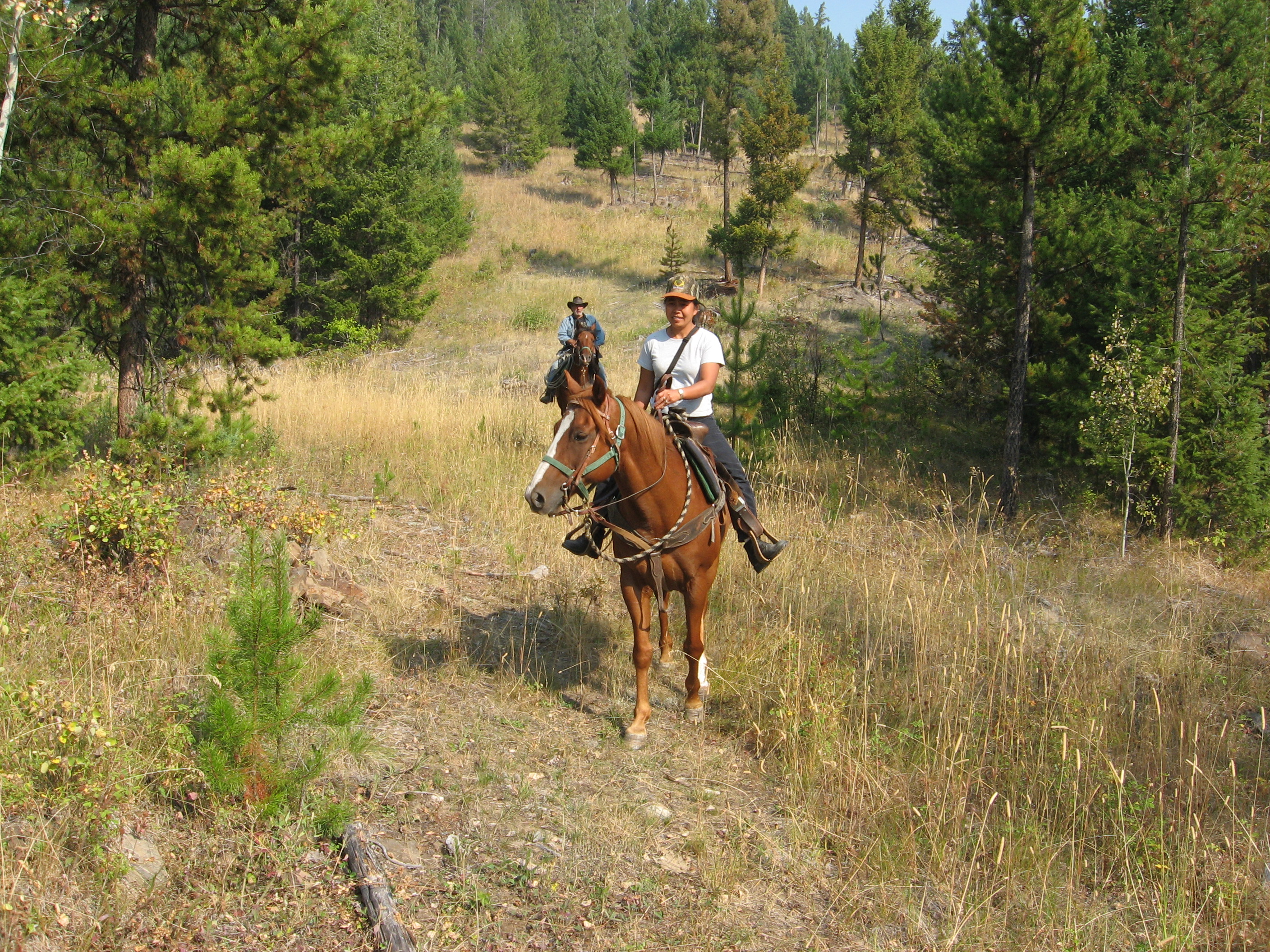 Mustang Stables Of Mission British Columbia Provides Affordable Horse Back Riding On Scenic Trails In Fraser Valley